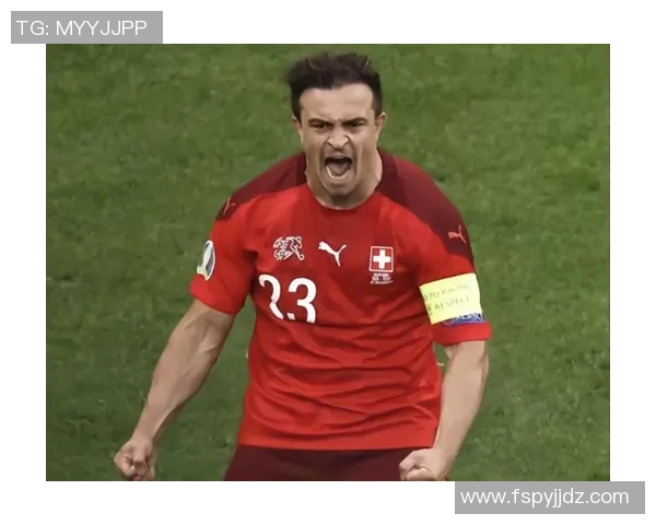 瑞士足球明星盘点谁是绿茵场上的闪耀之星